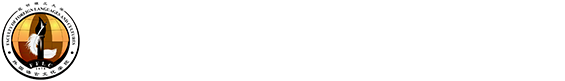 040-外文自慰影片
